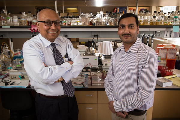 Sankar Swaminathan, MD, and Dinesh Verma, PhD.