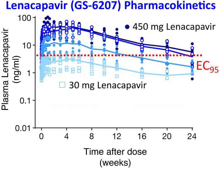 Graphic: A Potent, Long-lasting HIV Capsid Inhibitor