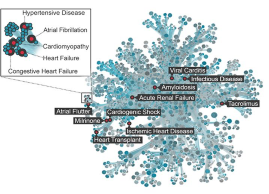 Graphic: Teasing Apart Effects of Comorbid Conditions on Cardiovascular Health