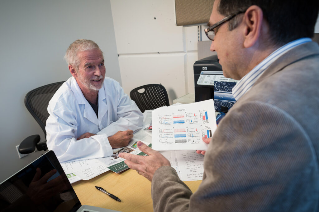 Graphic - Identification of GGC Expansion as a Basis for SCA4 Movement Disorder