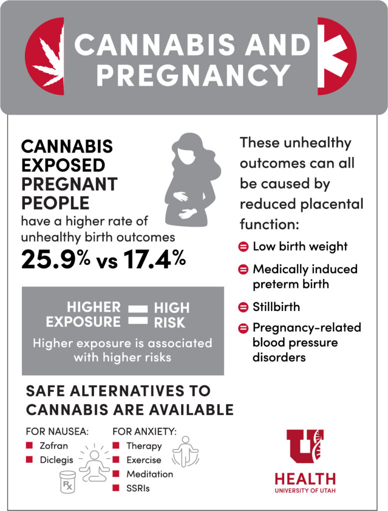 Graphic - Risks of Cannabis During Pregnancy